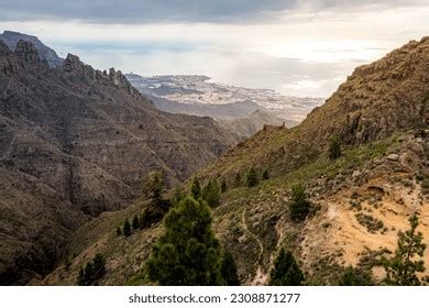  La Foresta di Pietra! Un capolavoro geologico per gli amanti della natura!