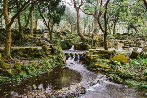  Il Tempio di Qianshan: Un'Oasi di Tranquillità con Vista Panoramica mozzafiato!