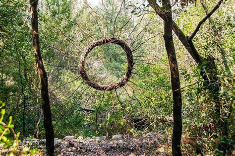  La Foresta di Pietra: Un'opera d'arte naturale scolpita dal tempo!